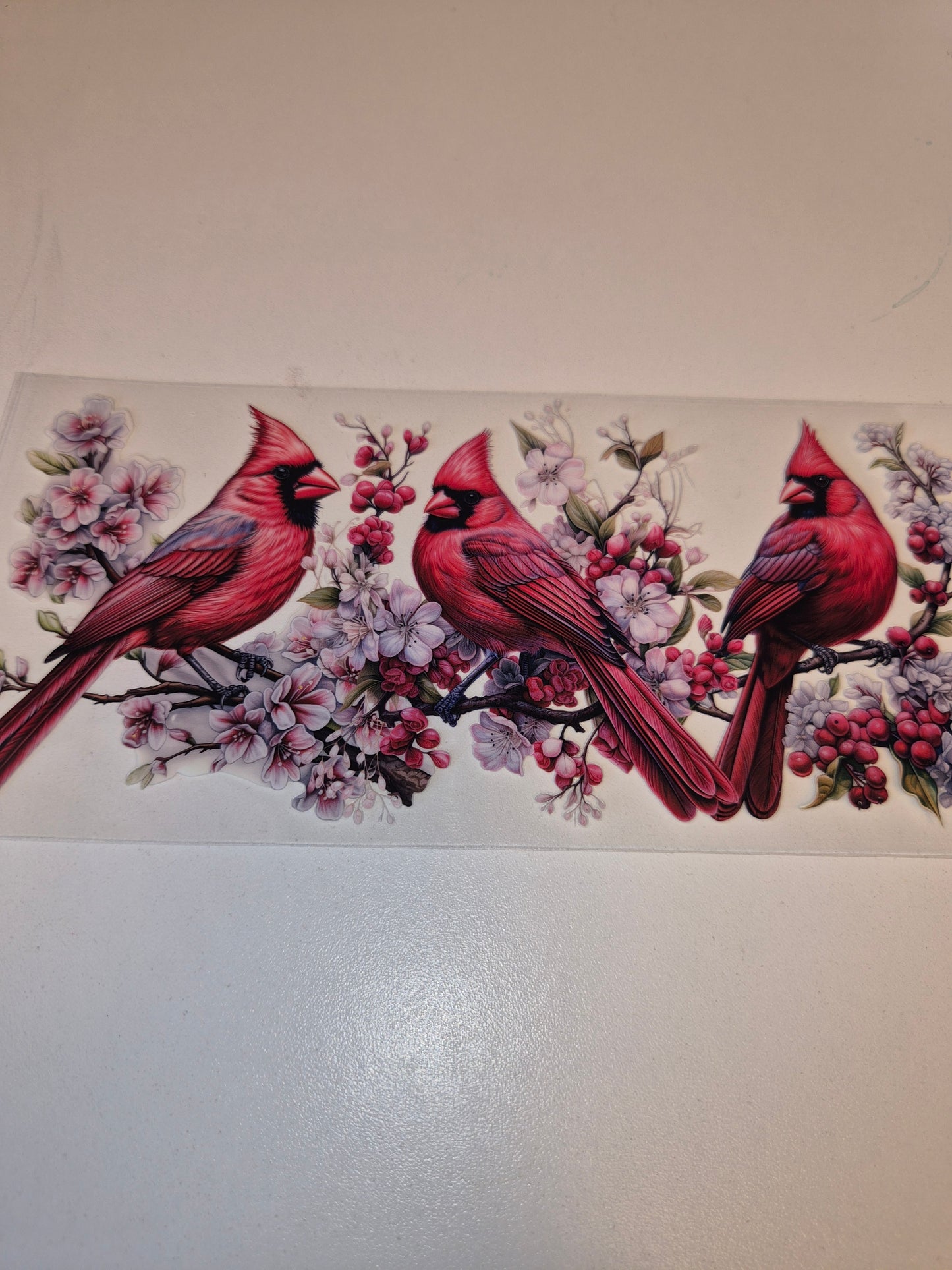 Cardinals Wraps 16oz