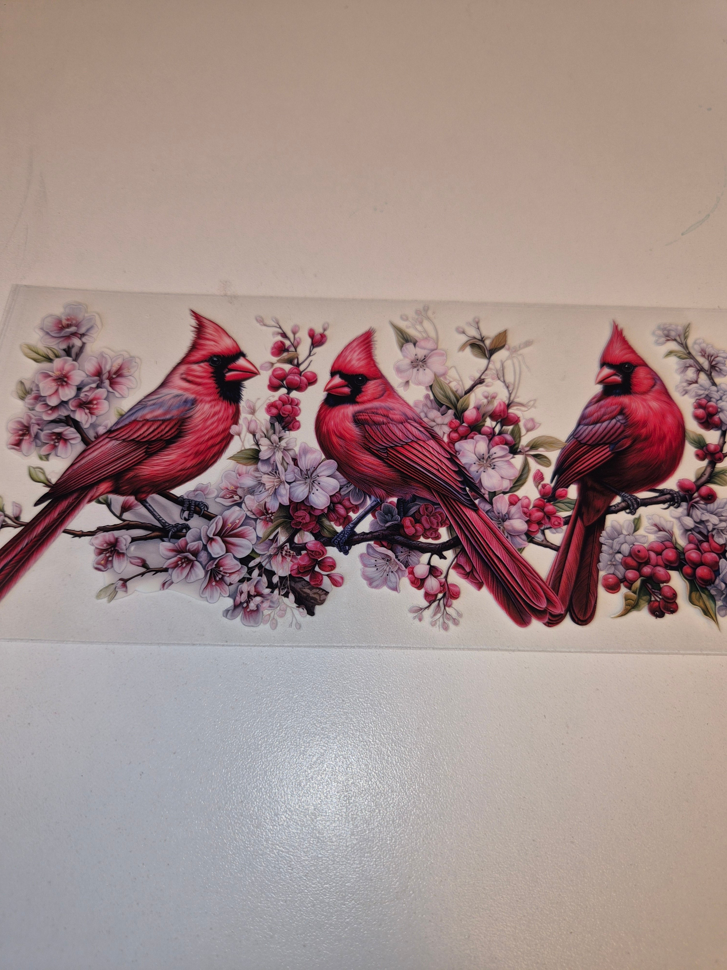 Cardinals Wraps 16oz
