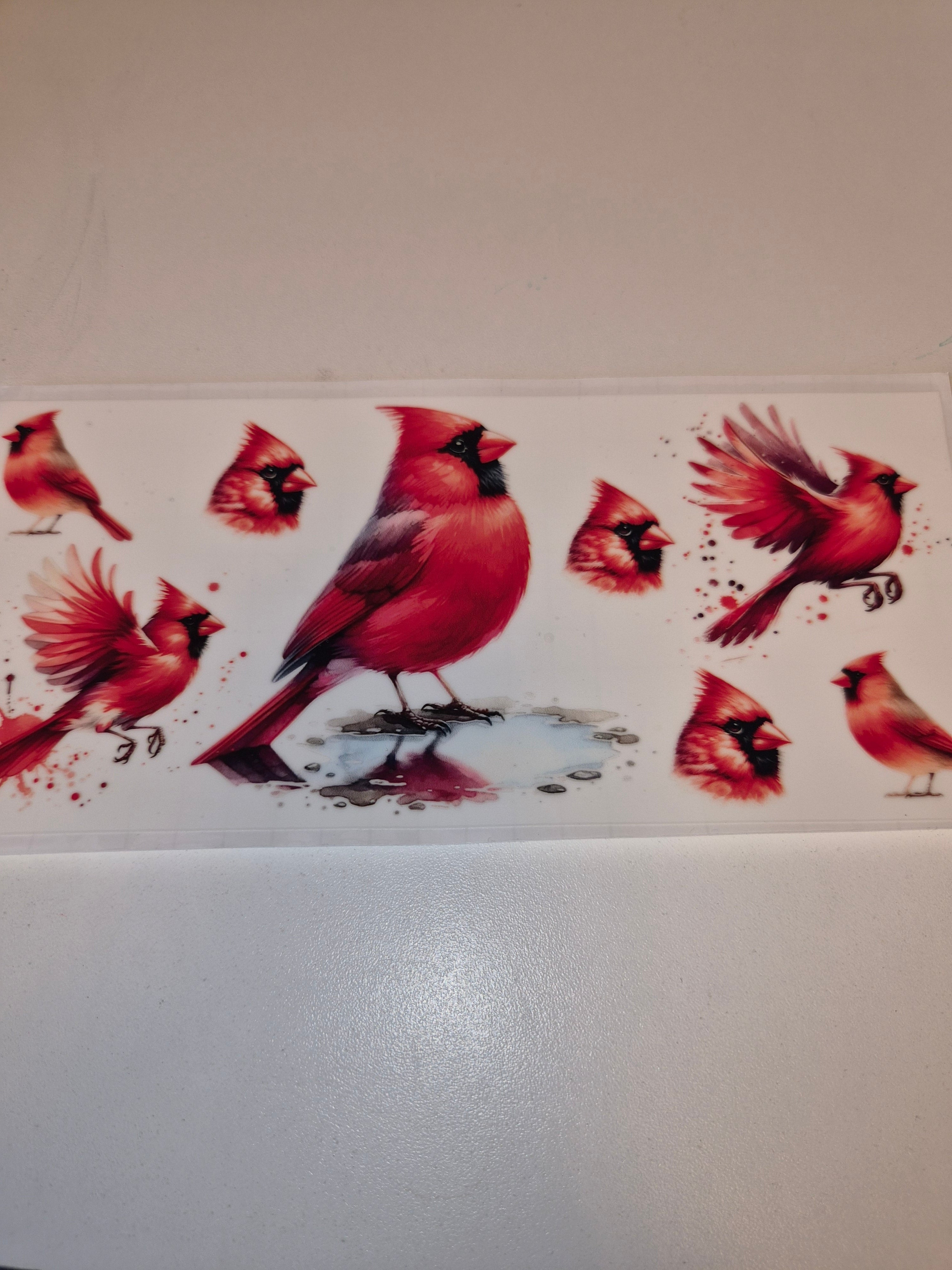 Cardinals Wraps 16oz